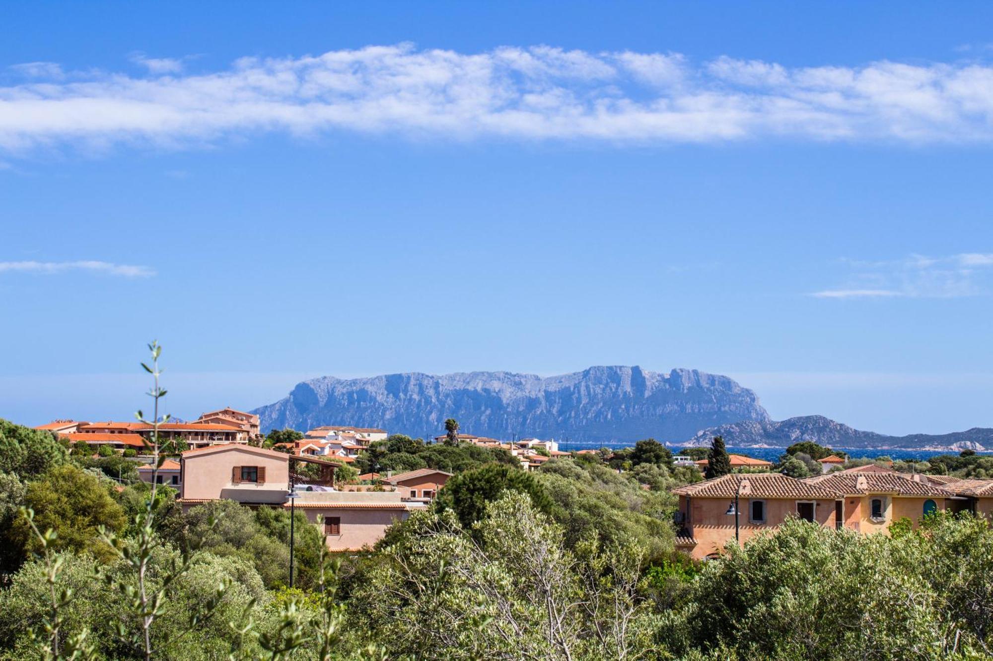 Rovo House, Pittulongu, Olbia, Sardinia Villa Bagian luar foto